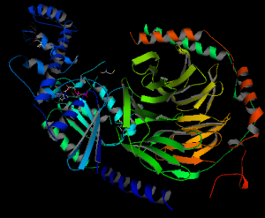 This image has been created on the basis of the crystal structure data (public domain image from The RCSB Protein Data Base, PDB ID: 1GOT, Lambright D.G. et al., 1996, Nature 379:311). Wikimedia/S. Jahnichen